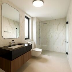 Claydence (D15), Apartment #498081131